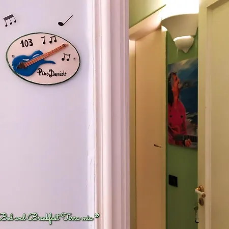 Terra Mia Alojamento de Acomodação e Pequeno-almoço